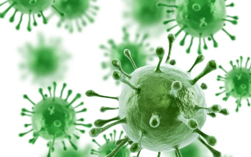 Gripe (Influenza): Sintomas, Prevenção, Vacinação e Como Não Confundir com um Resfriado Comum